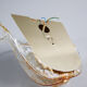 La Murrina shell sconce, 1980s.