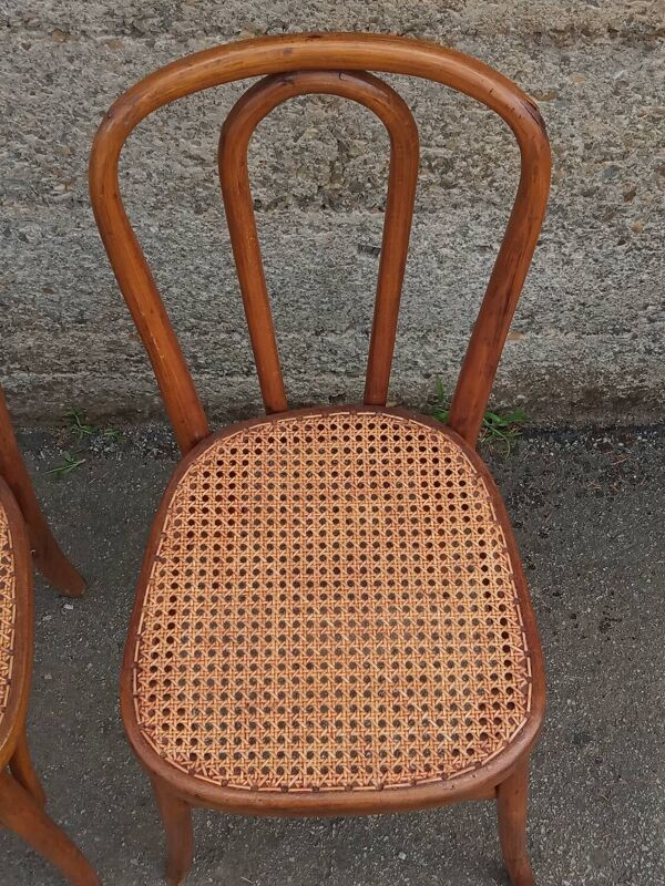 Paire de chaises Fischel cannées, circa 1900