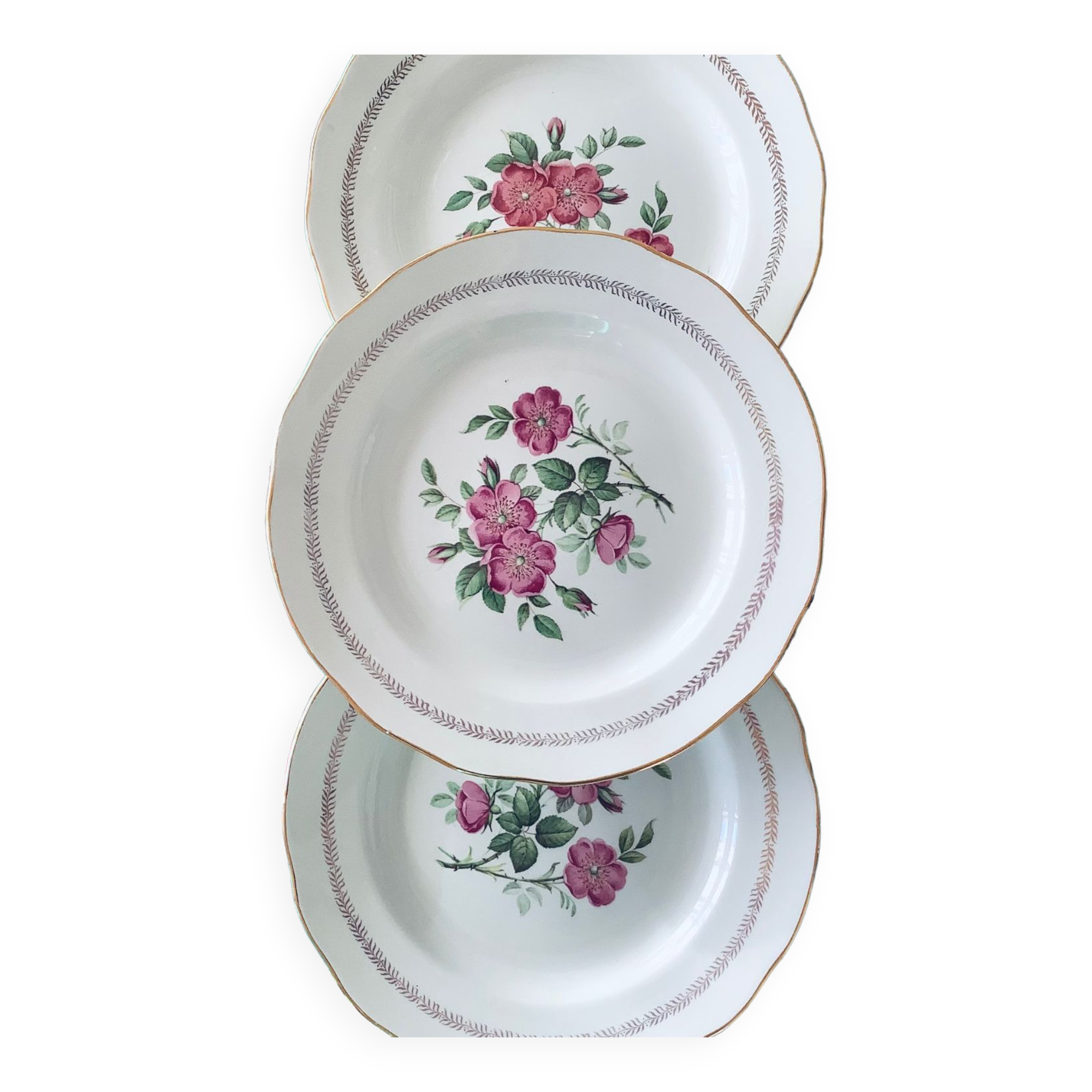 6 assiettes plates