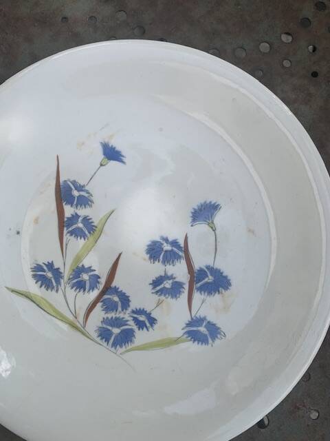 Set of 4 dessert plates Longchamp model of old bluebells.