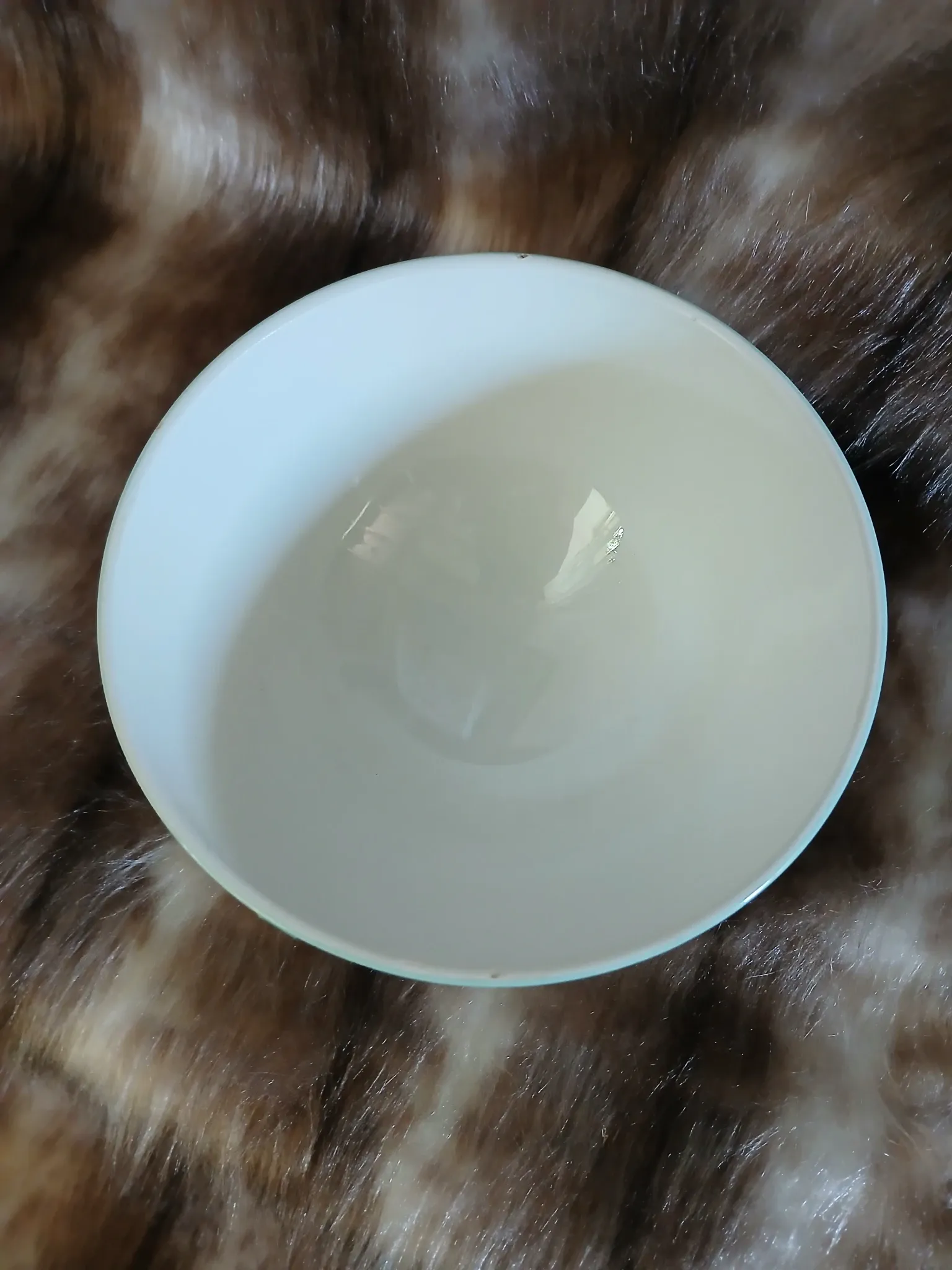 Old bowl