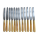 12 fruit knives, dessert. horn handle. length 19 cm