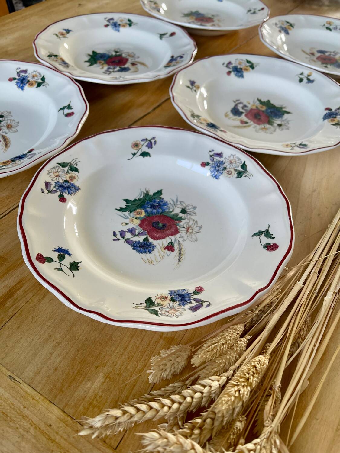 6 deep plates Sarreguemines