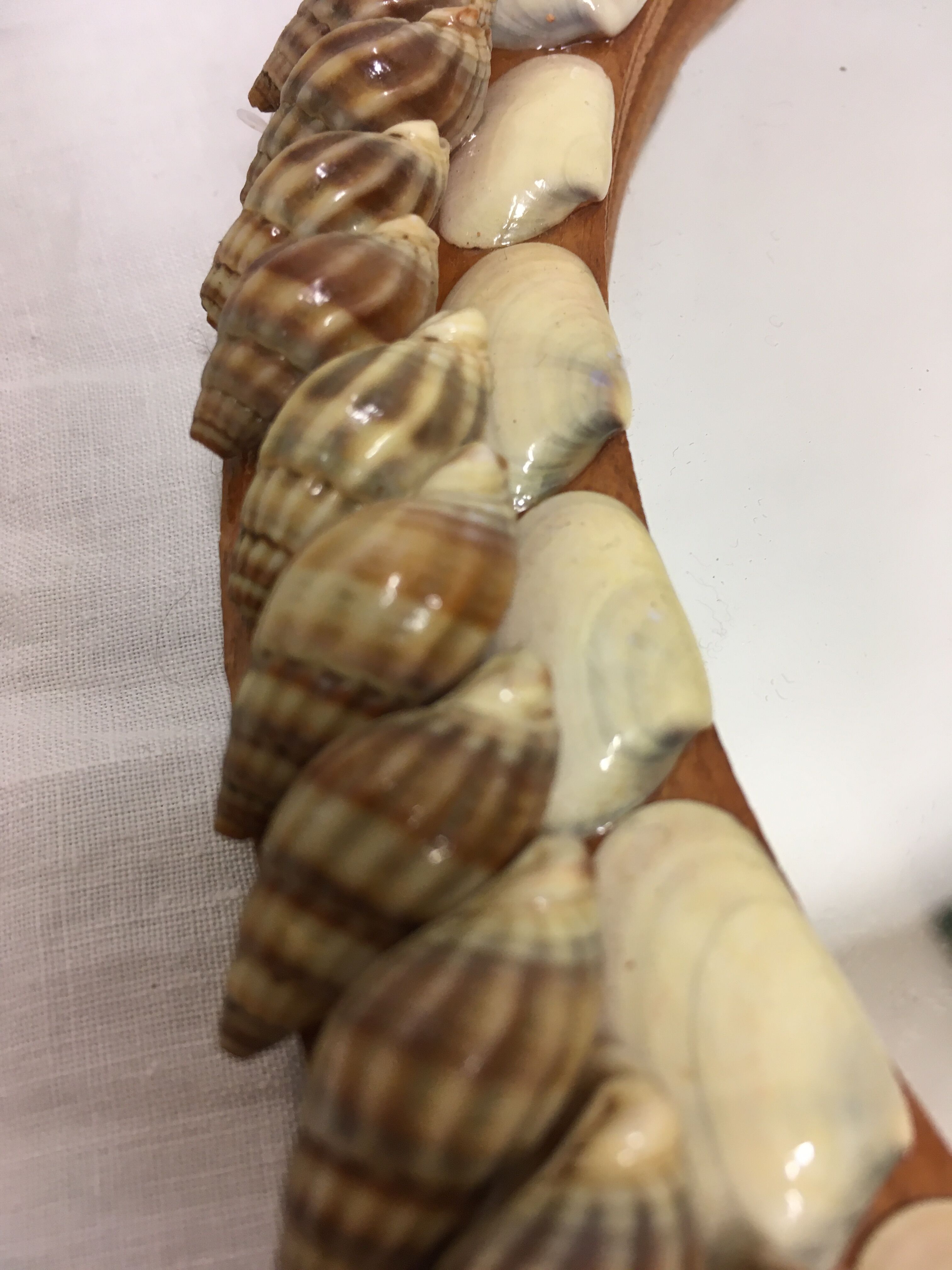 Hand facing decoration shells year 60/70