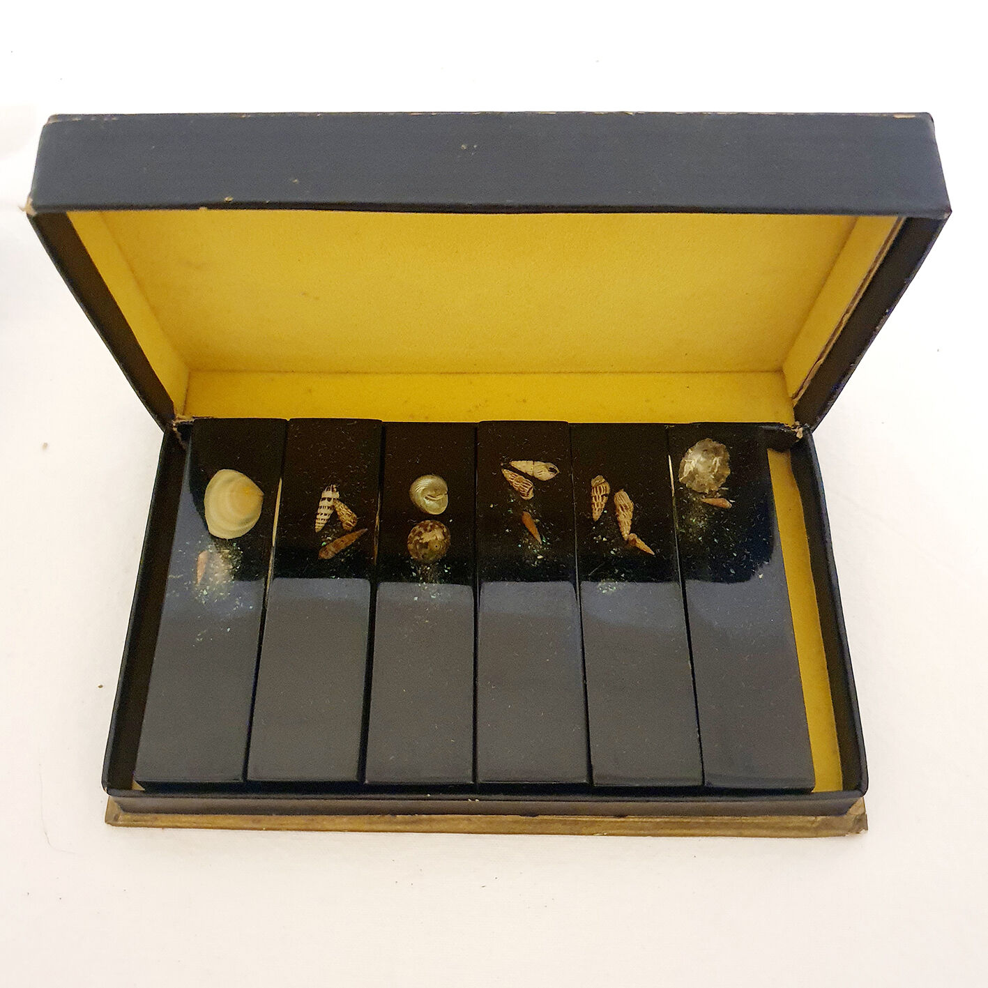 6 Knife holders - shells included