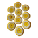 Set of 10 Flat Plates Sarreguemines Model Roseline