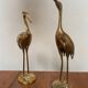 Herons laiton