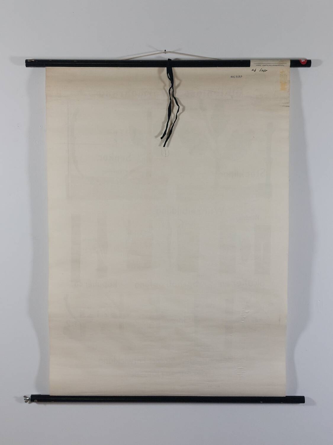 Vintage educational wall hanging roll chart biology plants