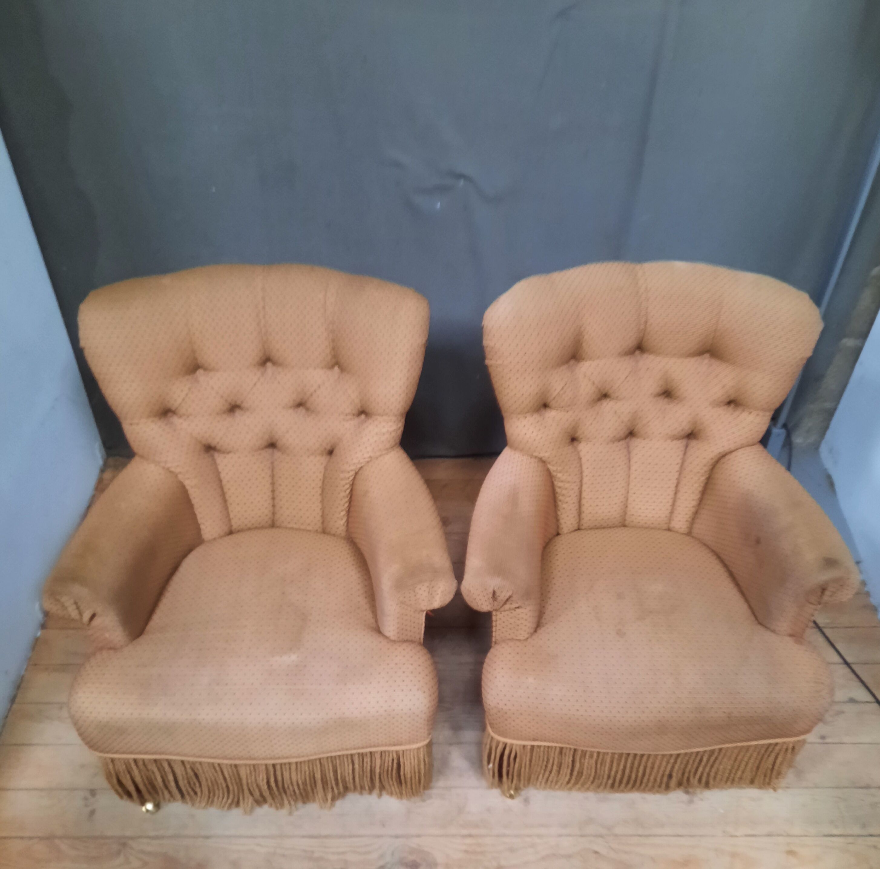 Pair of toad armchairs