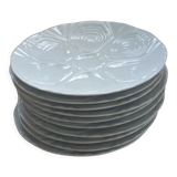10 Limoge porcelain oyster plates