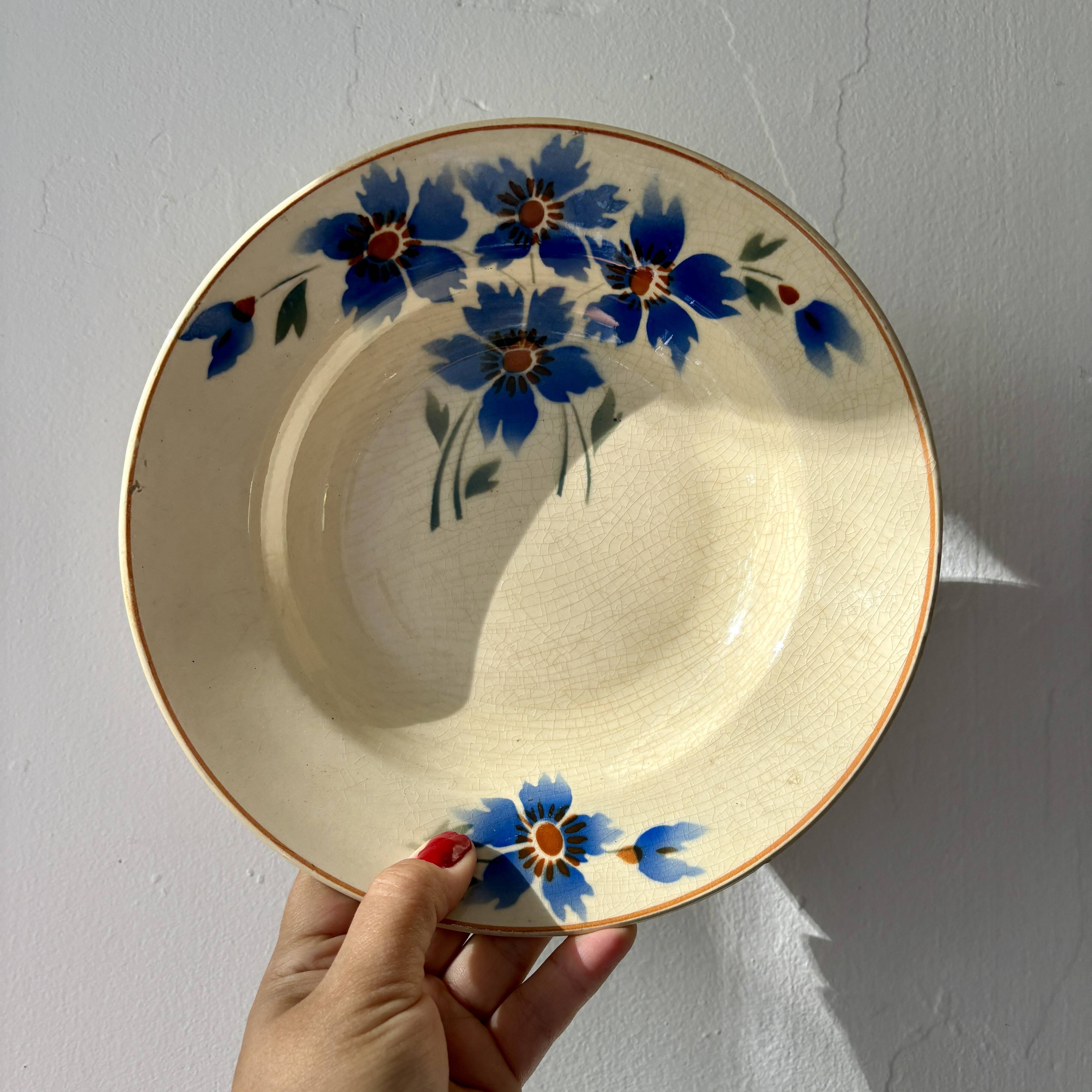 Set of 6 old-fashioned soup plates with blueberry decorations