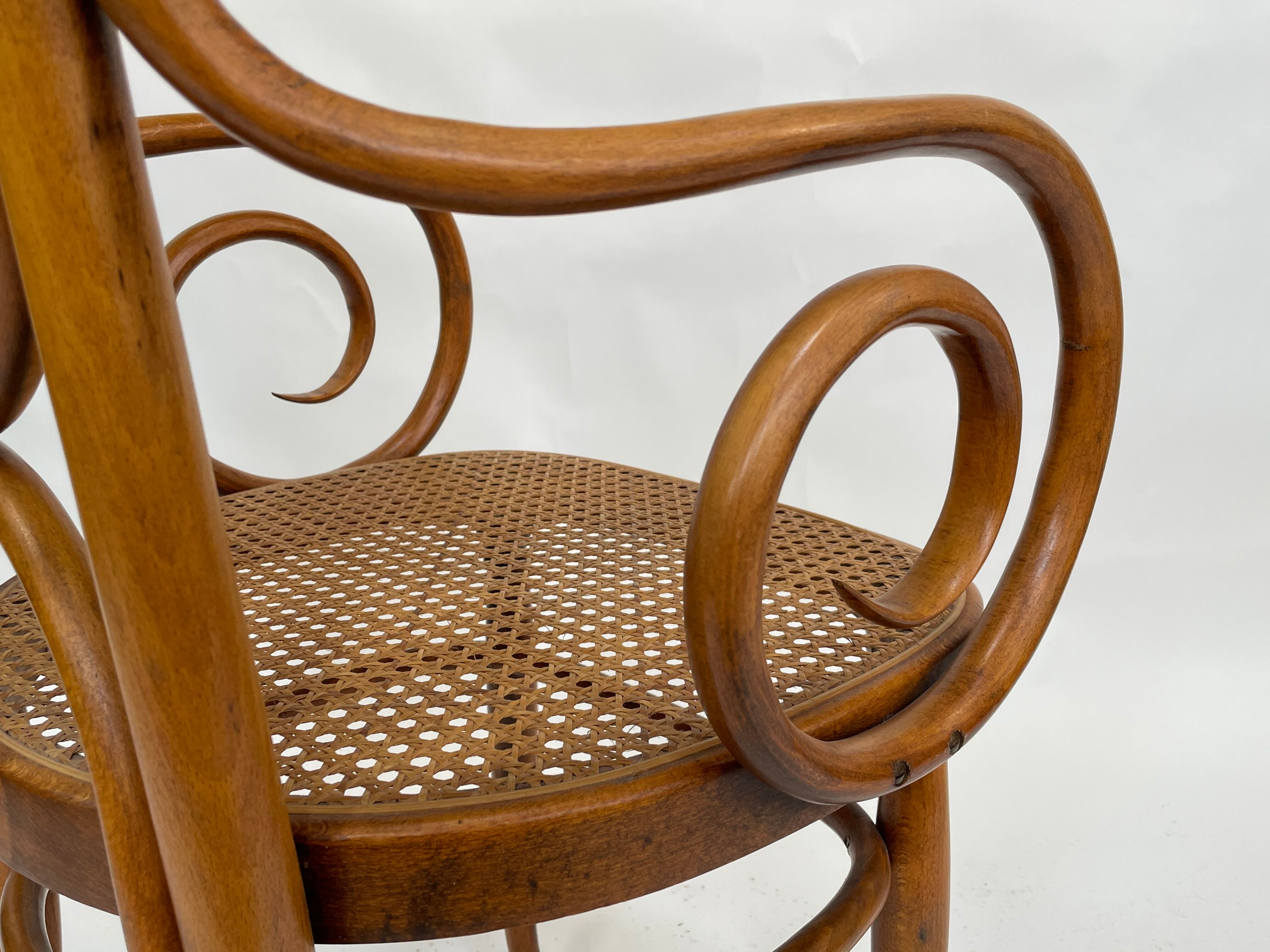Sculptural bendwood side chair model