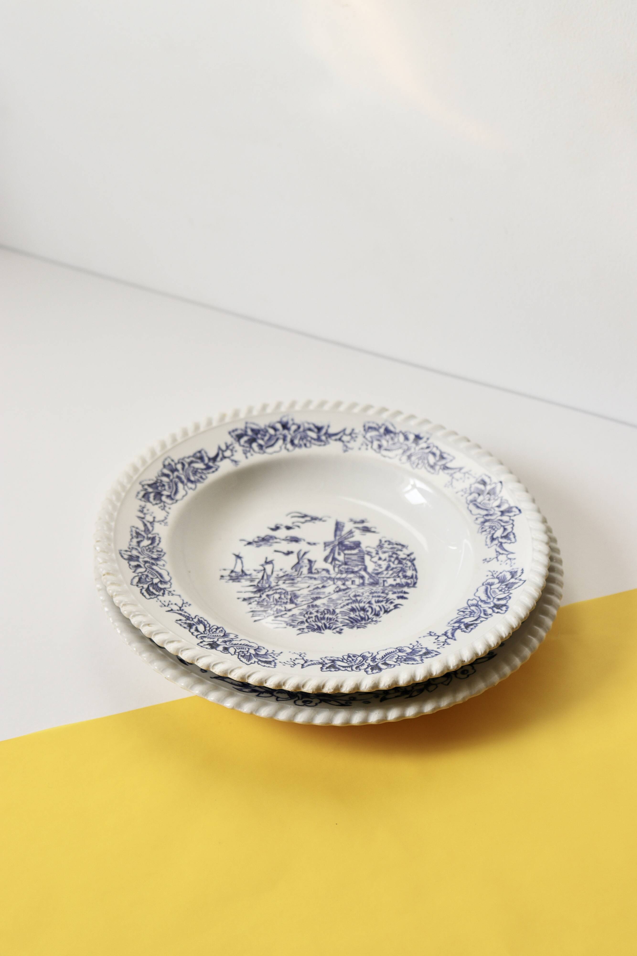 16 illustrated plates
