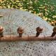 Coat rack in carved and varnished wood, imitation bamboo, 4 hooks