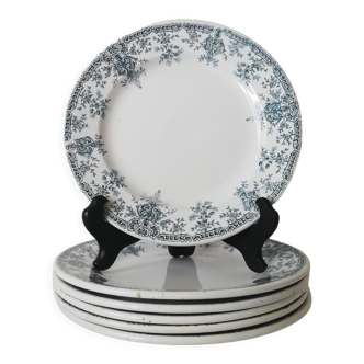 Assiette