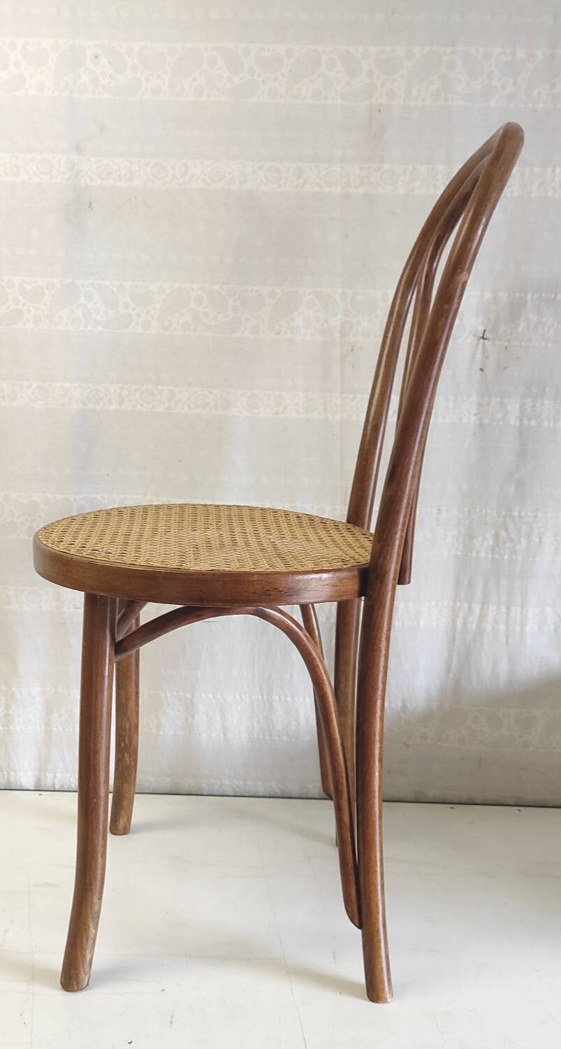 Bistro chair in bentwood and canework - mid. 20th century