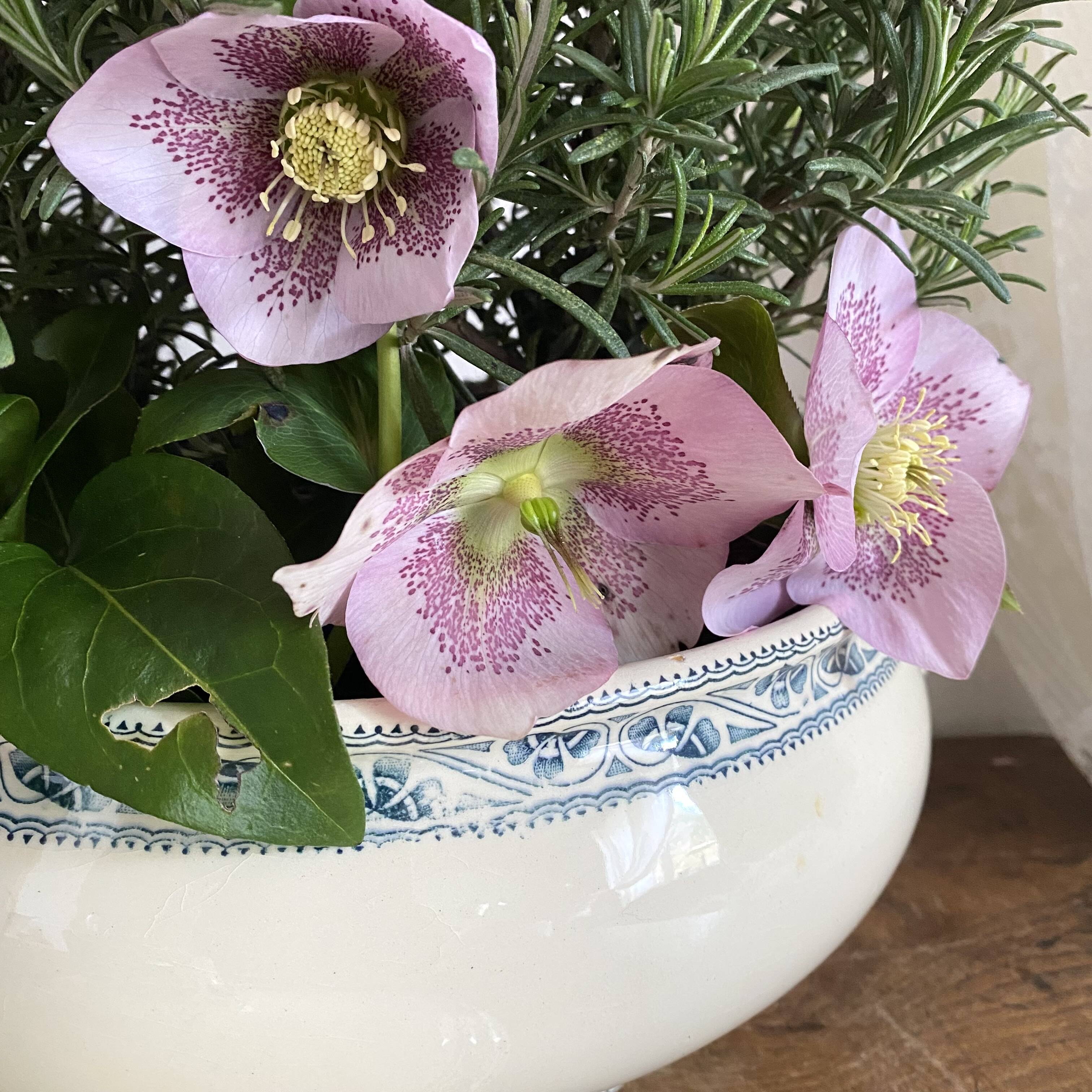 Soupière terre de fer Choisy le roi "Champigny"