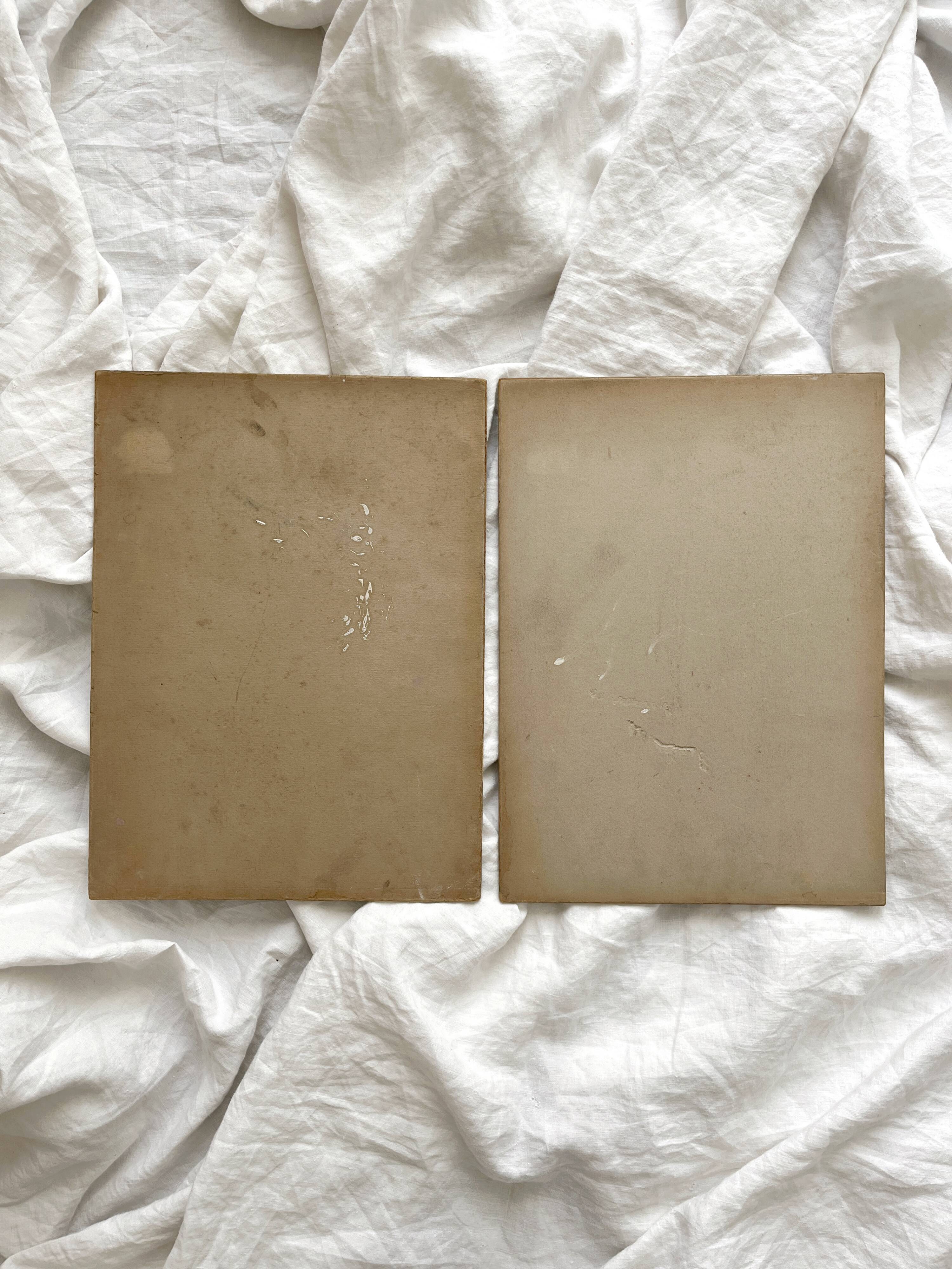 2 paintings on old cardboard dahlia flowers
