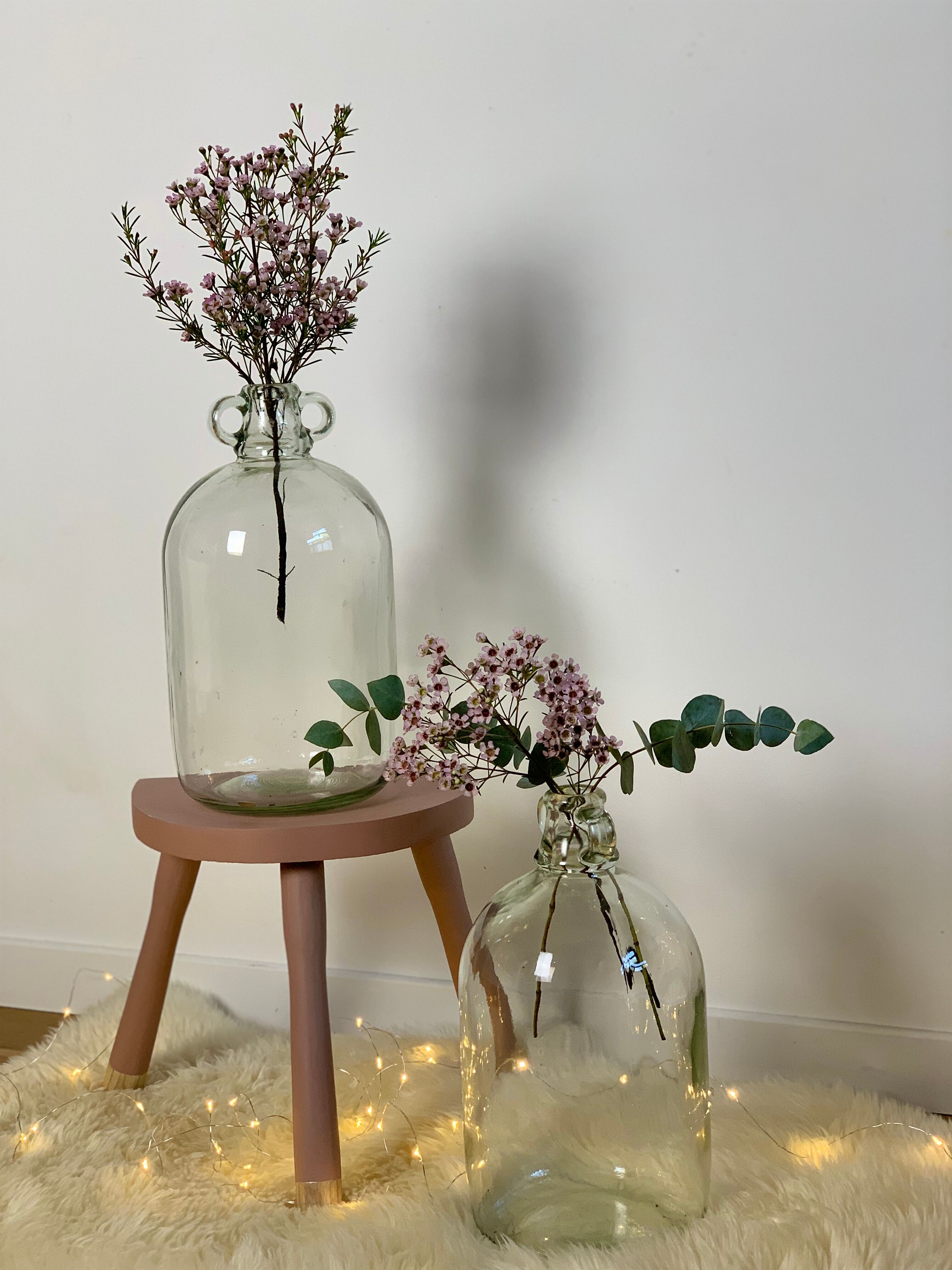 Transparent Lady Jeanne