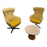 Cider Armchair - Queen Model