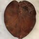 Old empty wooden pocket Art Nouveau butterfly décor