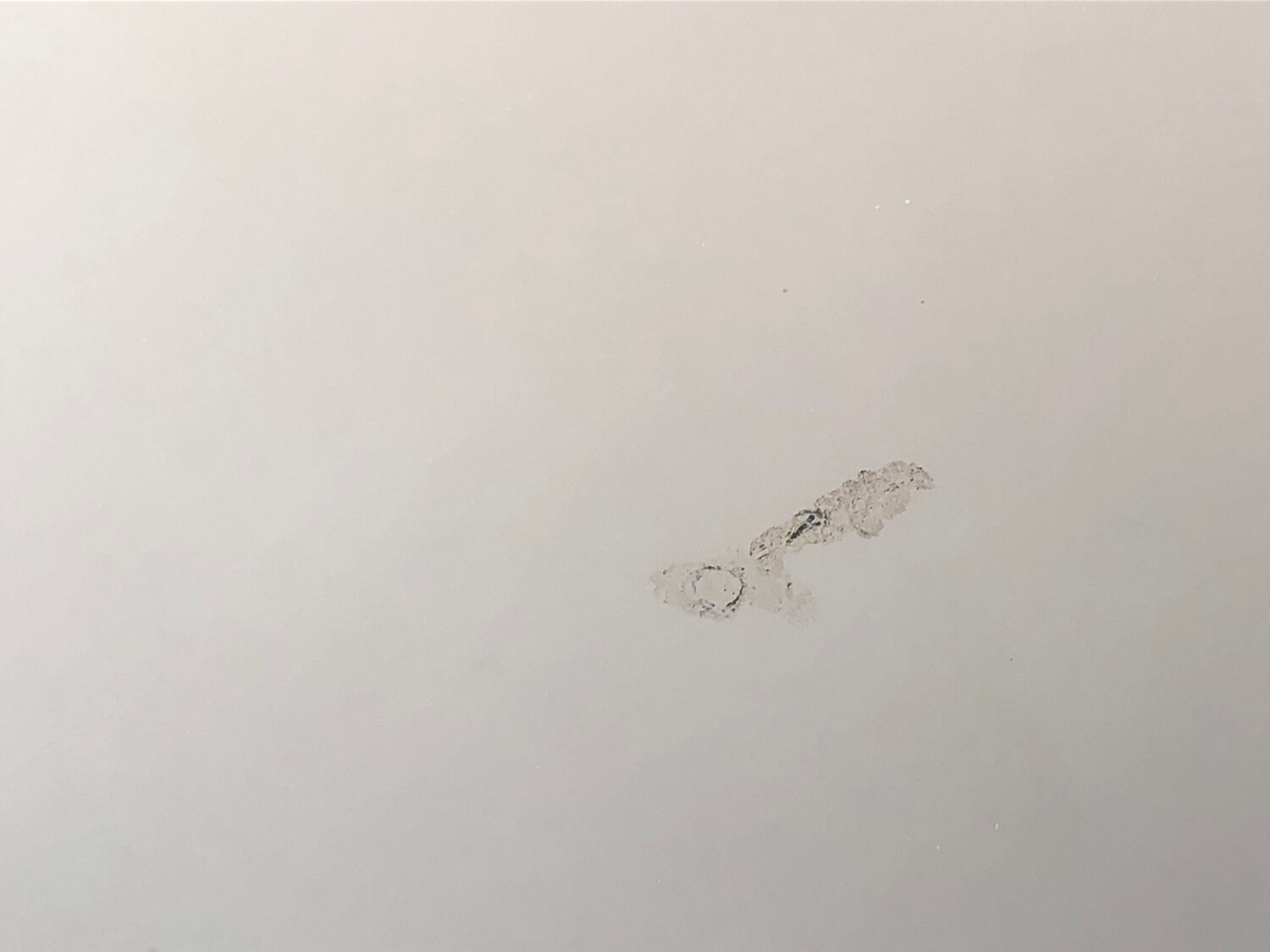 Beveled wall mirror with gold frame