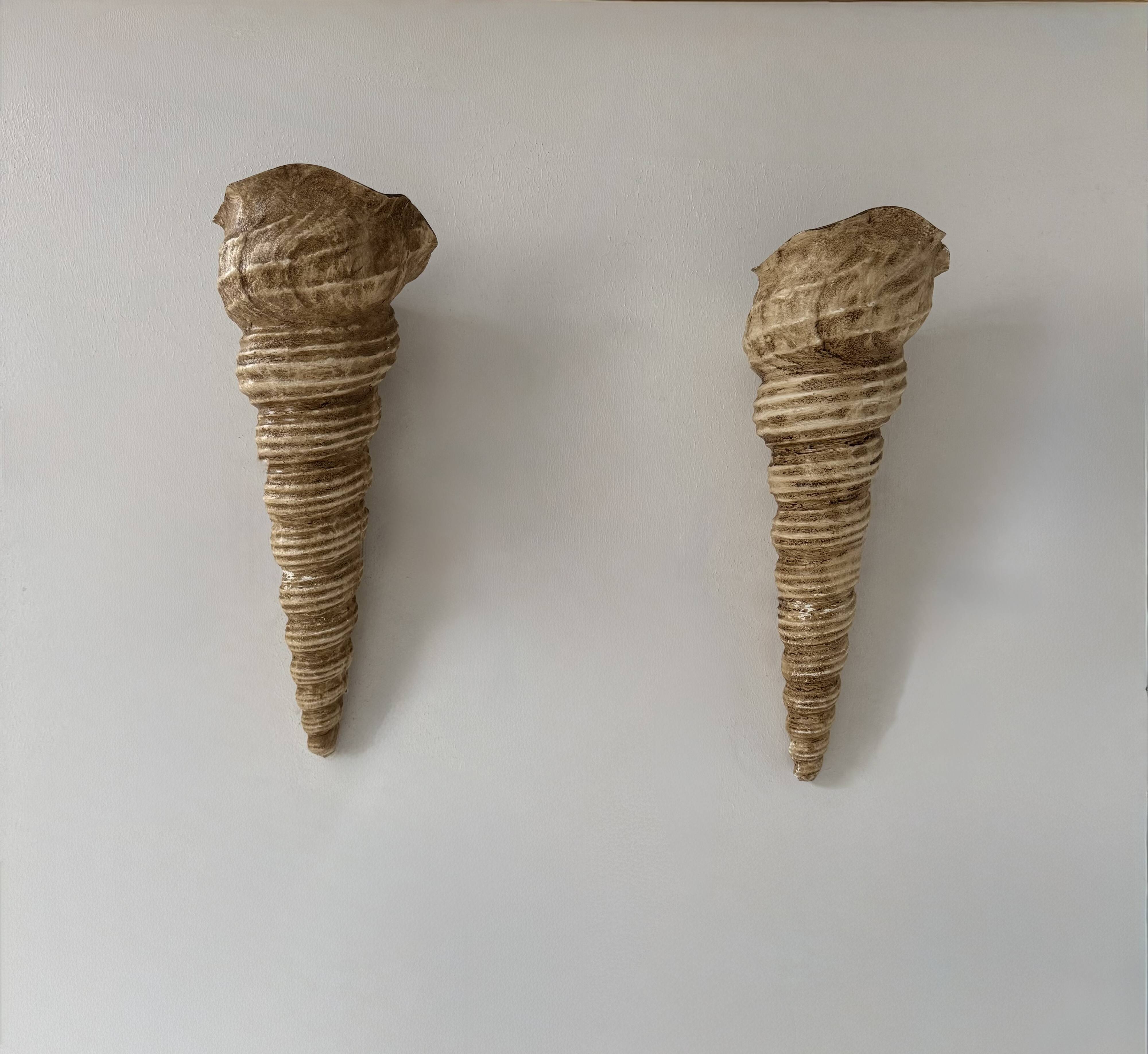 Pair of vintage shell wall sconces, beige fiberglass, France 1960