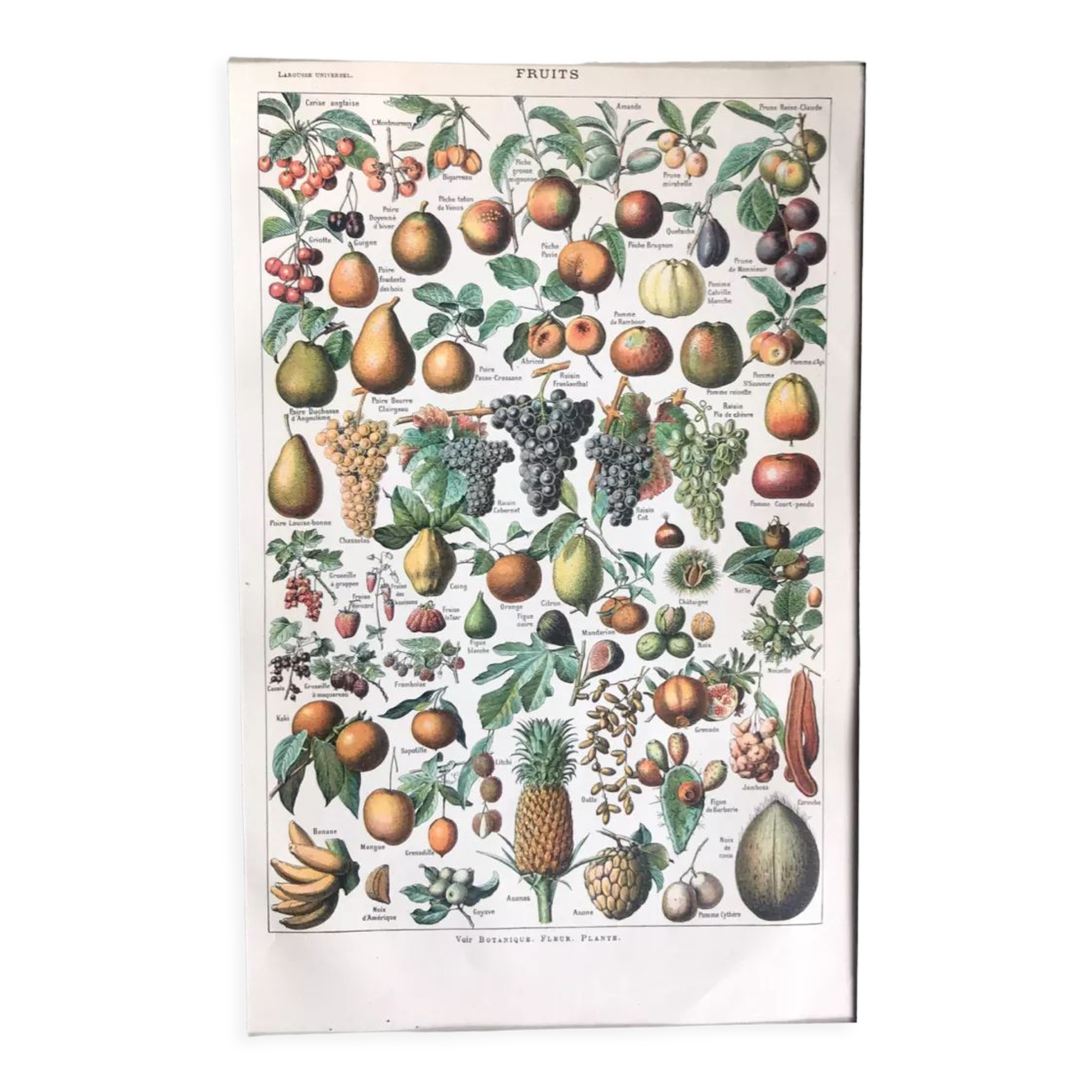 Original vintage fruit board