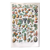 Original vintage fruit board