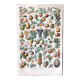 Planche vintage originale fruits