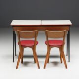 Mid-Century Modern Writing Desk, Netherlands, 1960s