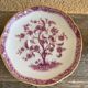 Limoges porcelain coffee service from Haviland, Tree model