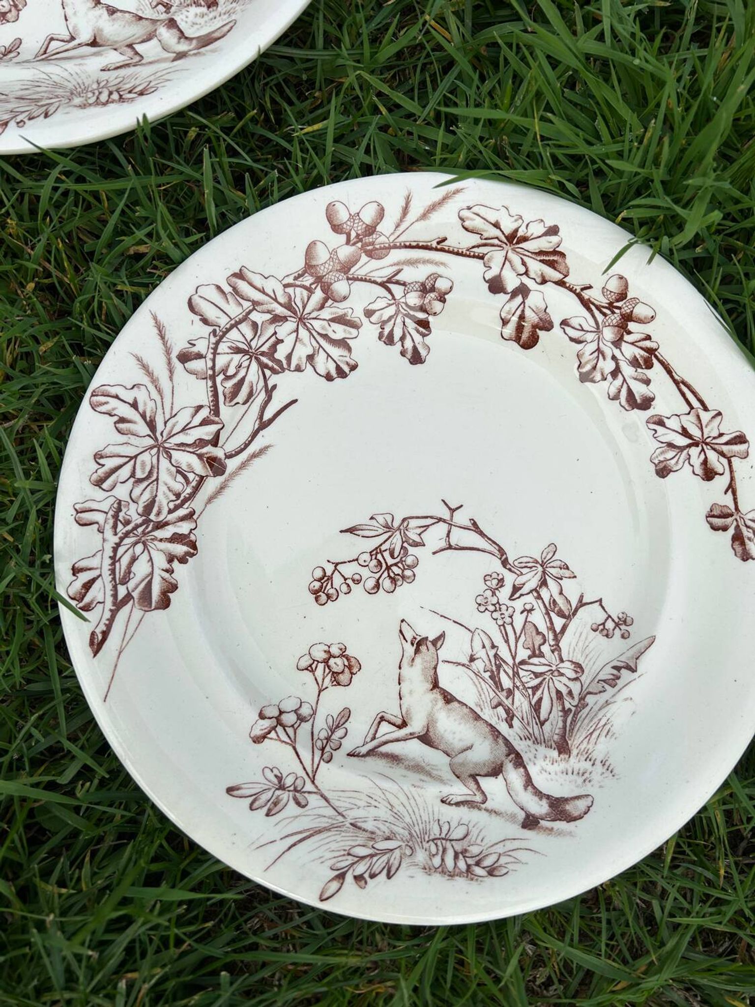 12 assiettes plates en terre de fer modèle Chasse
