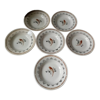 Series of 6 plates hollow with decoration of peroquet, earthenware of clairefontaine (haute saône)