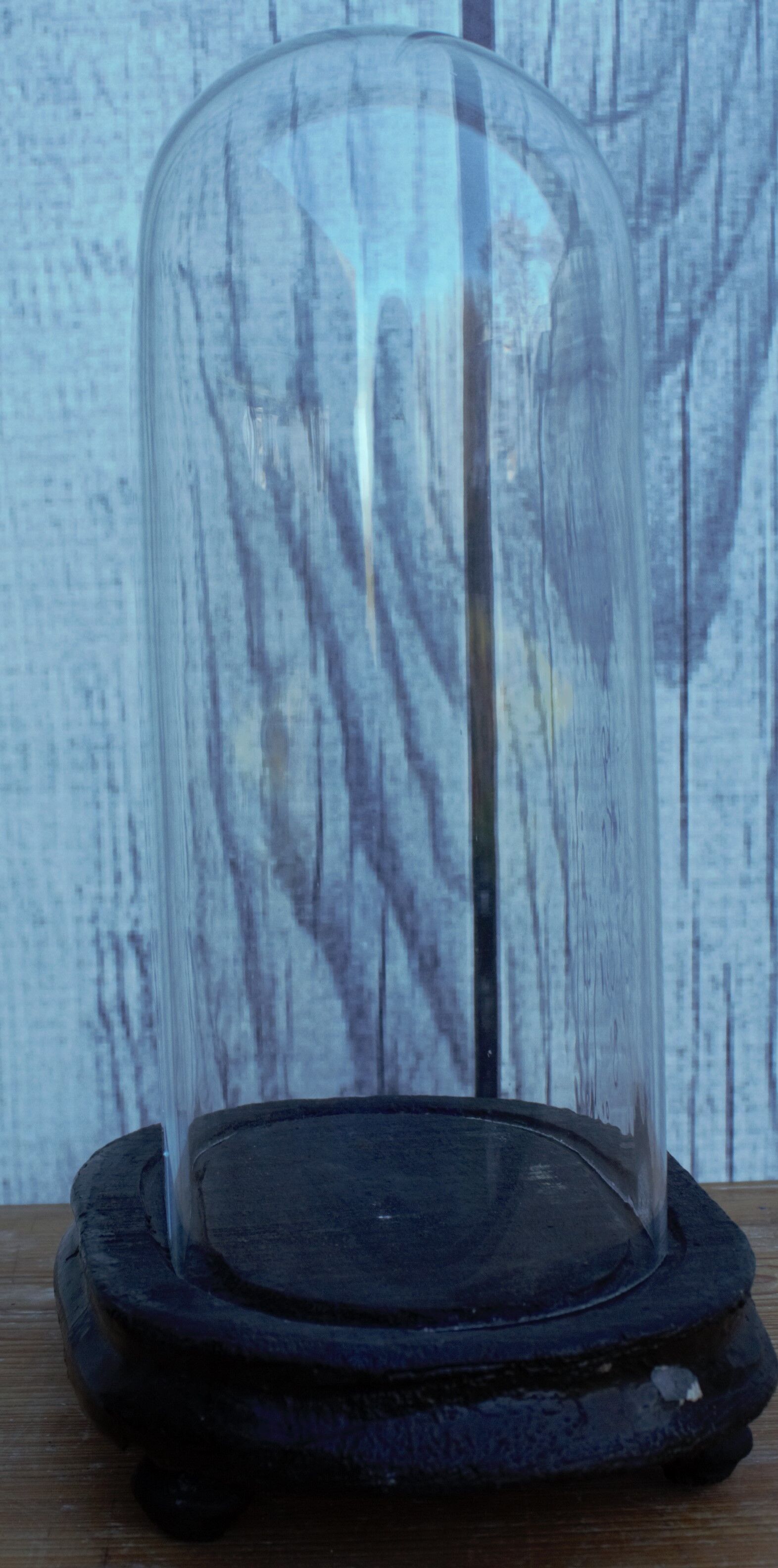 Antique wedding globe in oval glass 27 cm high