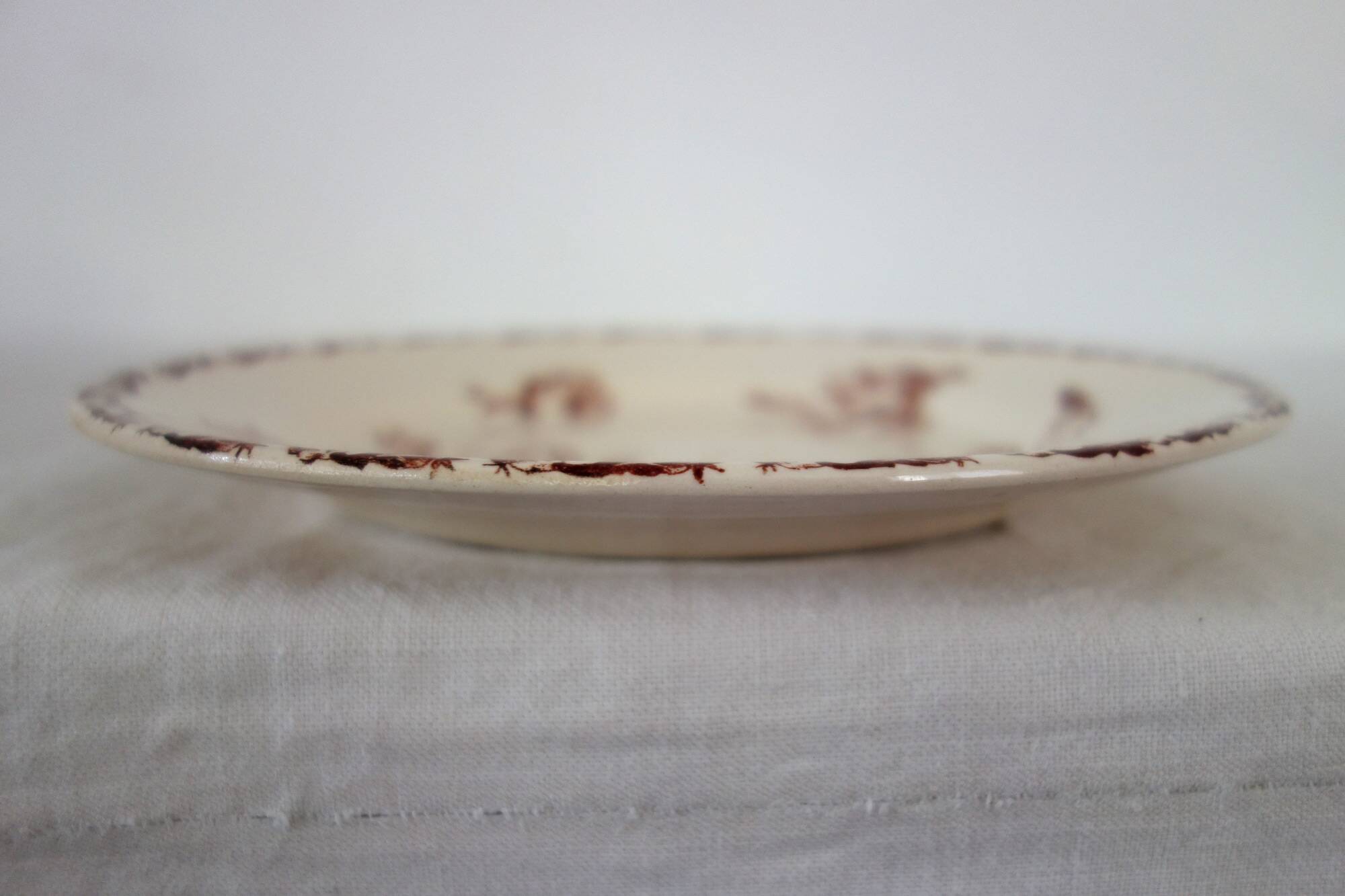 11 Gien plates in the Cactus pattern from around 1900.