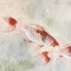 Small Japanese painting goldfish Okada vintage old watercolor