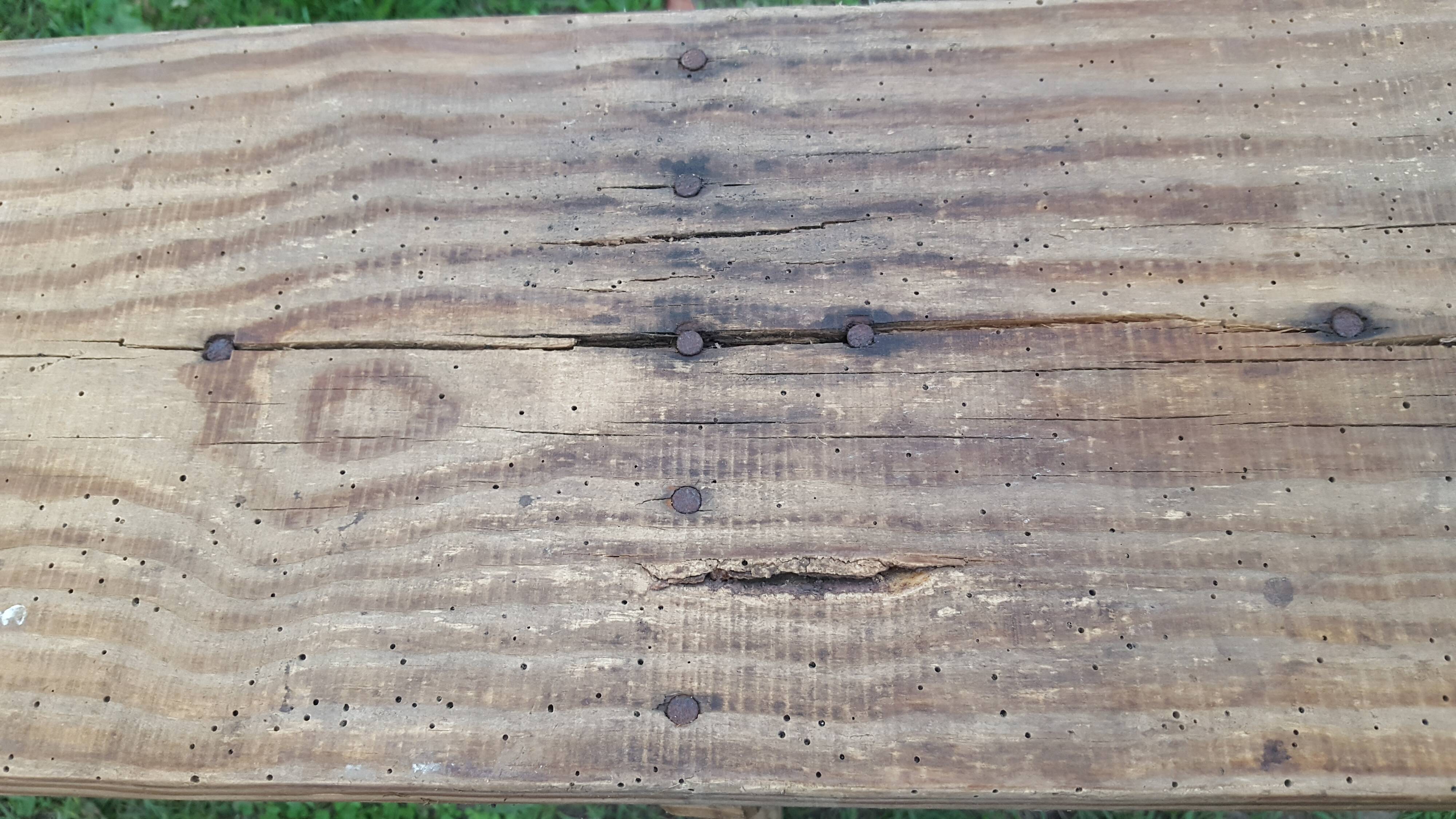 Wooden bench farm bench "oats"