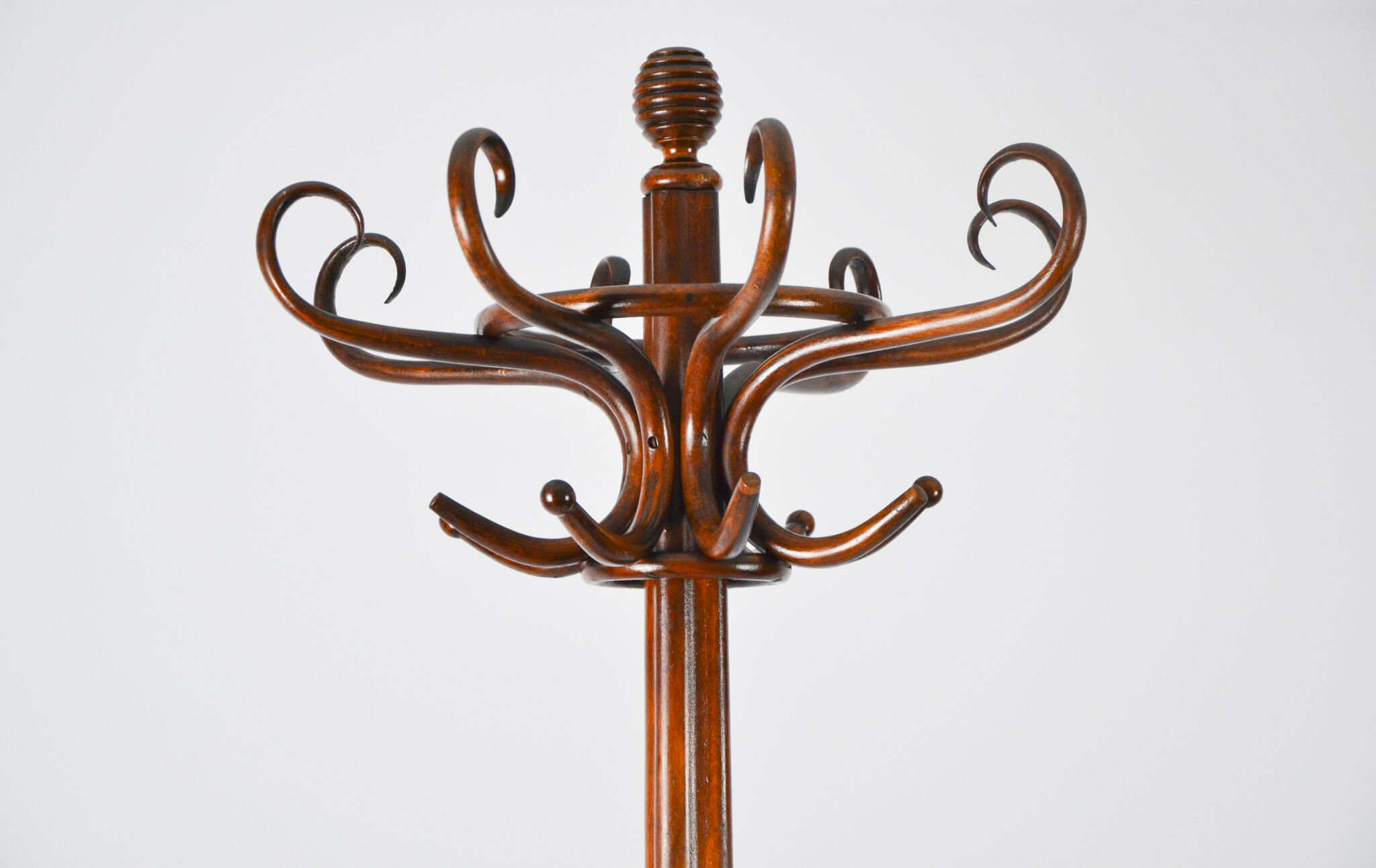 Parrot coat rack circa 1920