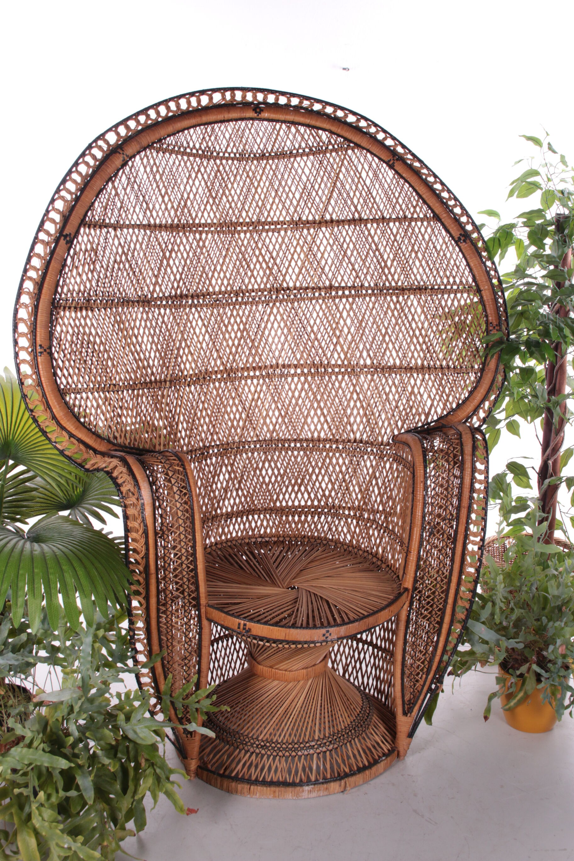 French King Sized Emmanuelle Peacock Chair, 1960s