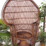 French King Sized Emmanuelle Peacock Chair, 1960s