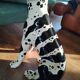 Italian ceramic dog 1960s
