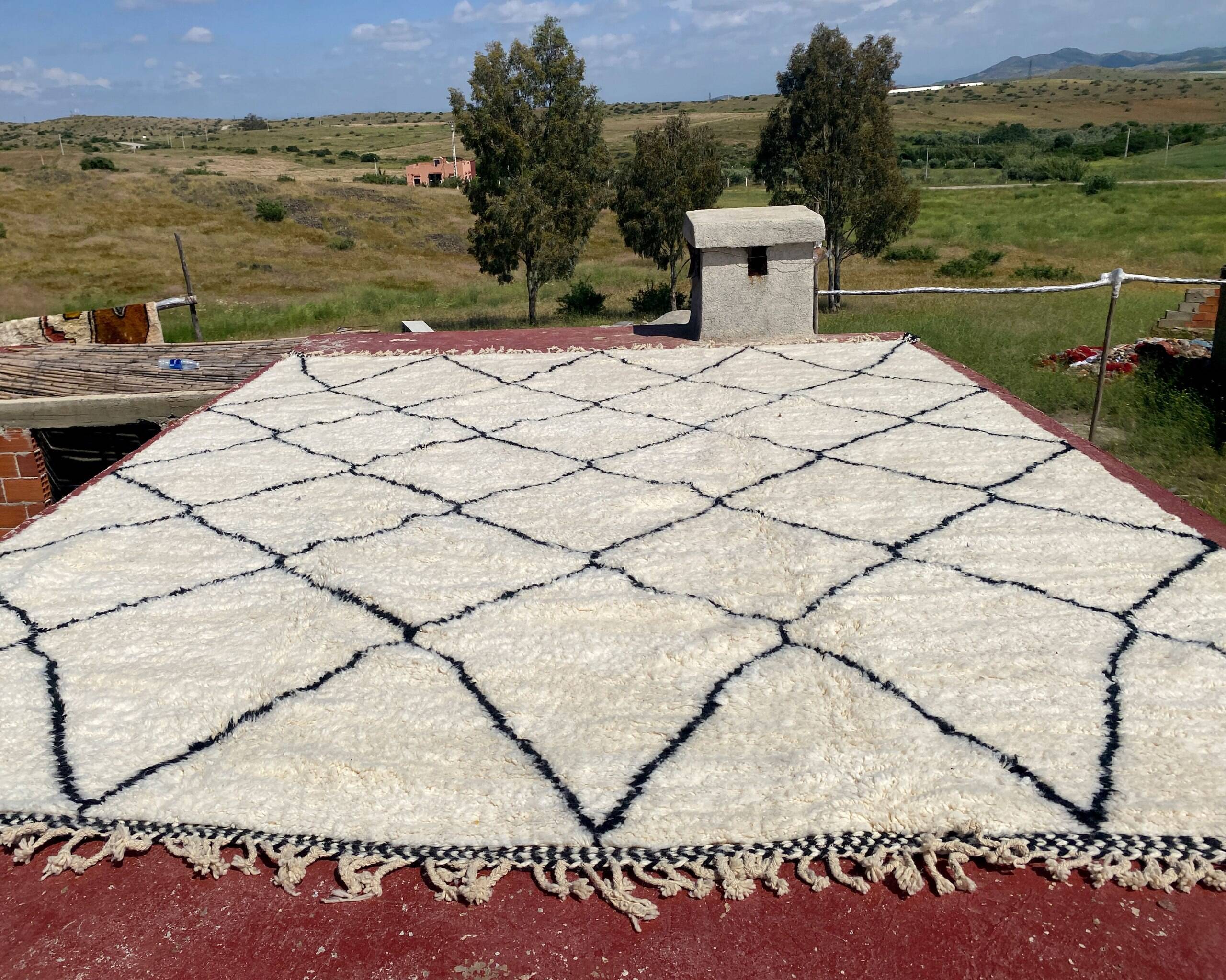 Very large vintage Beni Ouarain rug in cream wool with black diamonds, 426x344cm.
