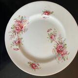 Large service 24 pieces iron earth