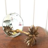 Mirror plateau and palm tree