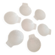 Scallop shell bowls Reussy porcelain
