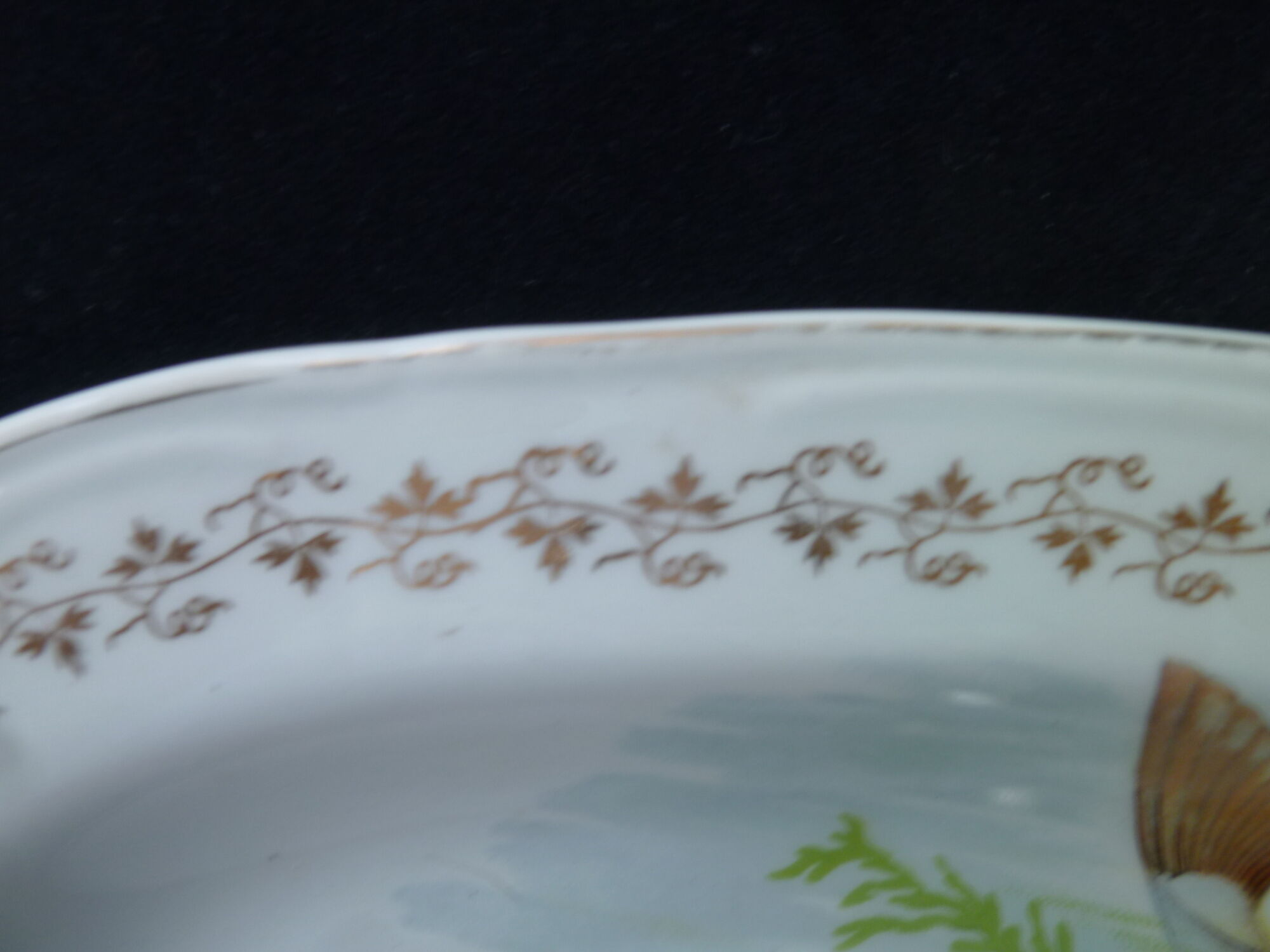 Fish dish in porcelain of France Digoin 53 cm
