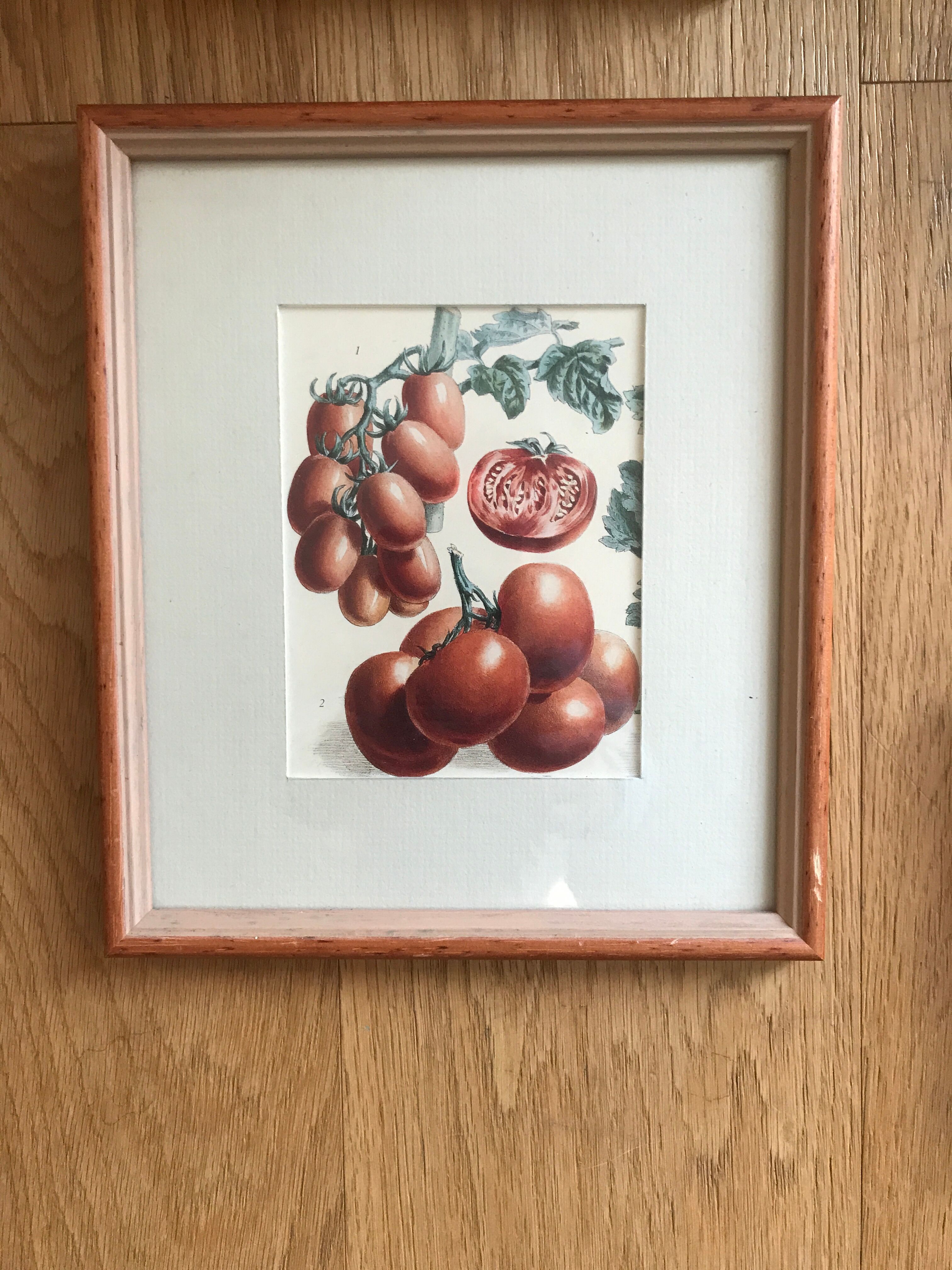 Lot of 6 old vegetable images