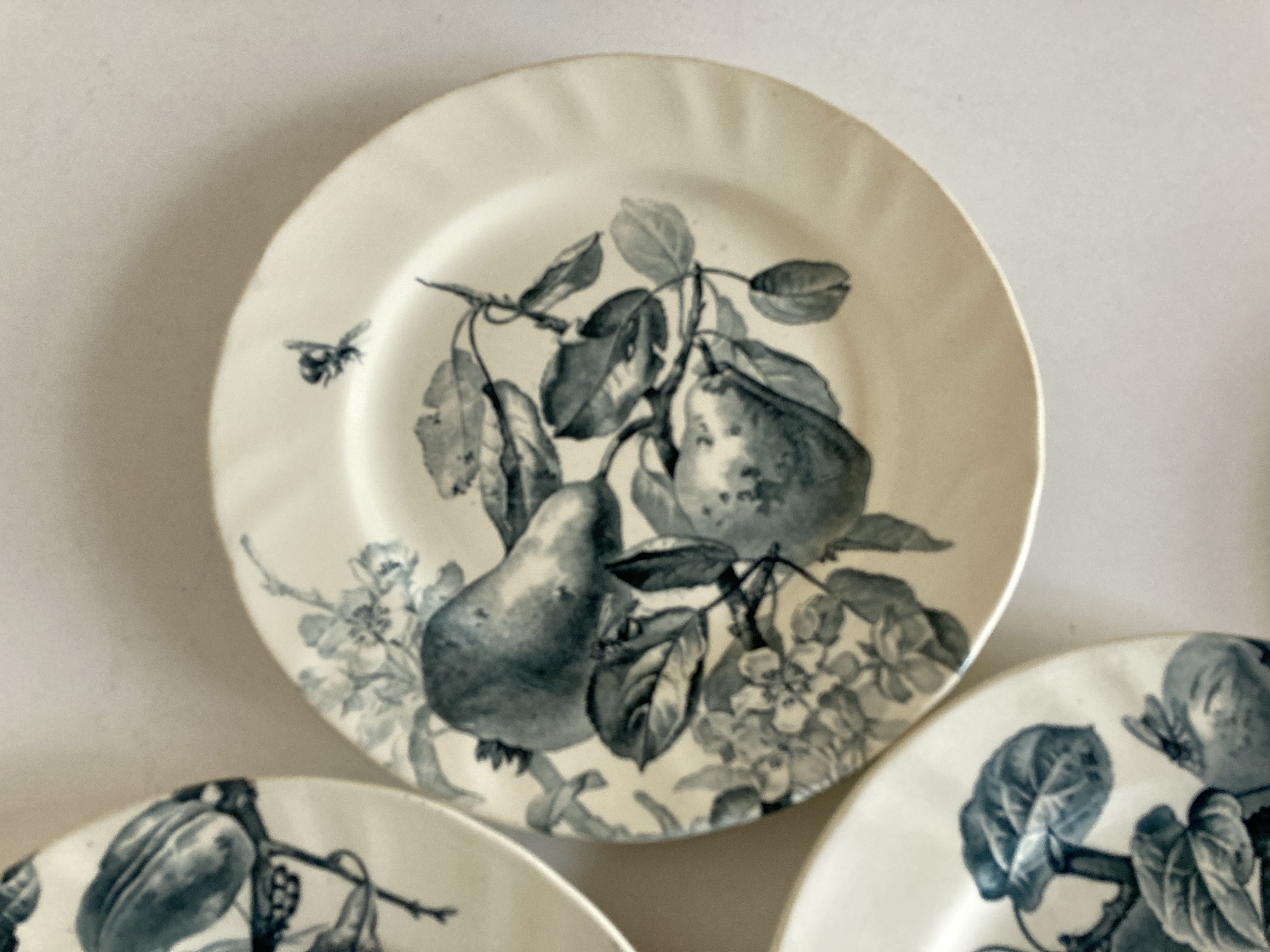 Set of 6 plates Creil Montereau Pomona iron earth early 20th