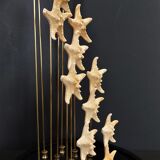 Cabinet of curiosities starfish globe protoreaster nodosus